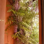 Casa Satta 1925 أولبيا