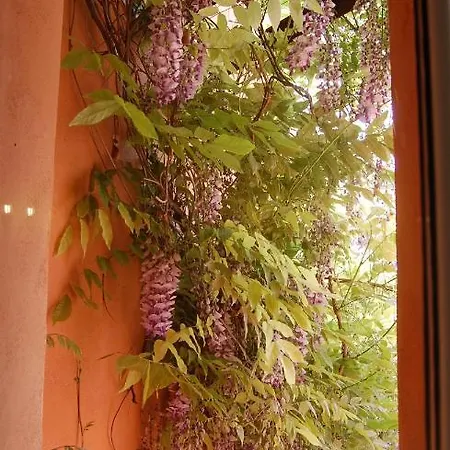 Casa Satta 1925 Όλμπια