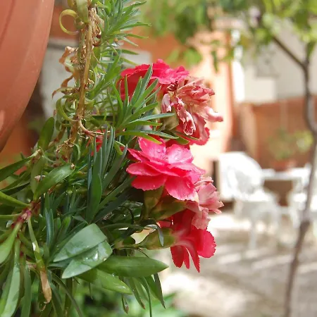 Pensjonat Casa Satta 1925 Olbia