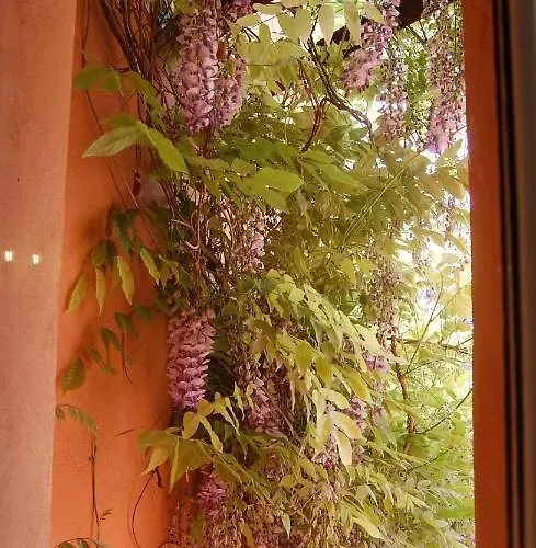 Casa Satta 1925 Olbia