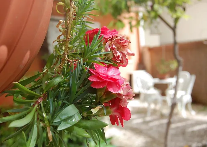 Pensionat Casa Satta 1925 Olbia