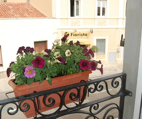 Guest house Casa Satta 1925 Olbia