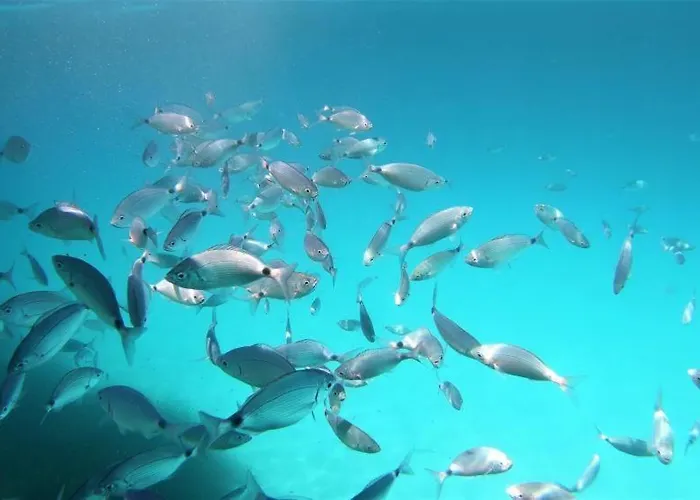 Casa Satta 1925 Pensionat